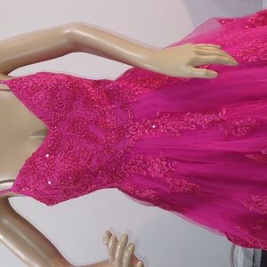 Fifteen Roses ball gown